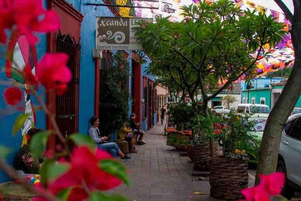 Cálida habitación a 10 min de Santo Domingo Oaxaca Esterno foto